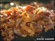Propolis - a mixture of Tree and flower resin, Beeswax, .An enzyme that's secreted out of the collecting bee's saliva Propolis - a mixture of Tree and flower resin, Beeswax, .An enzyme that's secreted out of the collecting bee's saliva