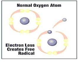 The problems in our body occur when the chemical reactions in the cell are damaged – thus causing the release of electrons from atoms creating the free radicals. The problems in our body occur when the chemical reactions in the cell are damaged – thus causing the release of electrons from atoms creating the free radicals.
